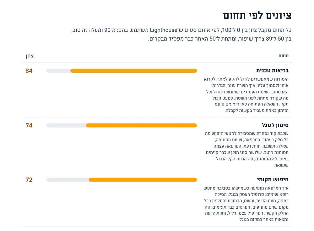 עמוד הציונים לפי תחום בדו"ח לדוגמה, עם פס ציון והסבר קצר בשפה פשוטה לכל תחום.